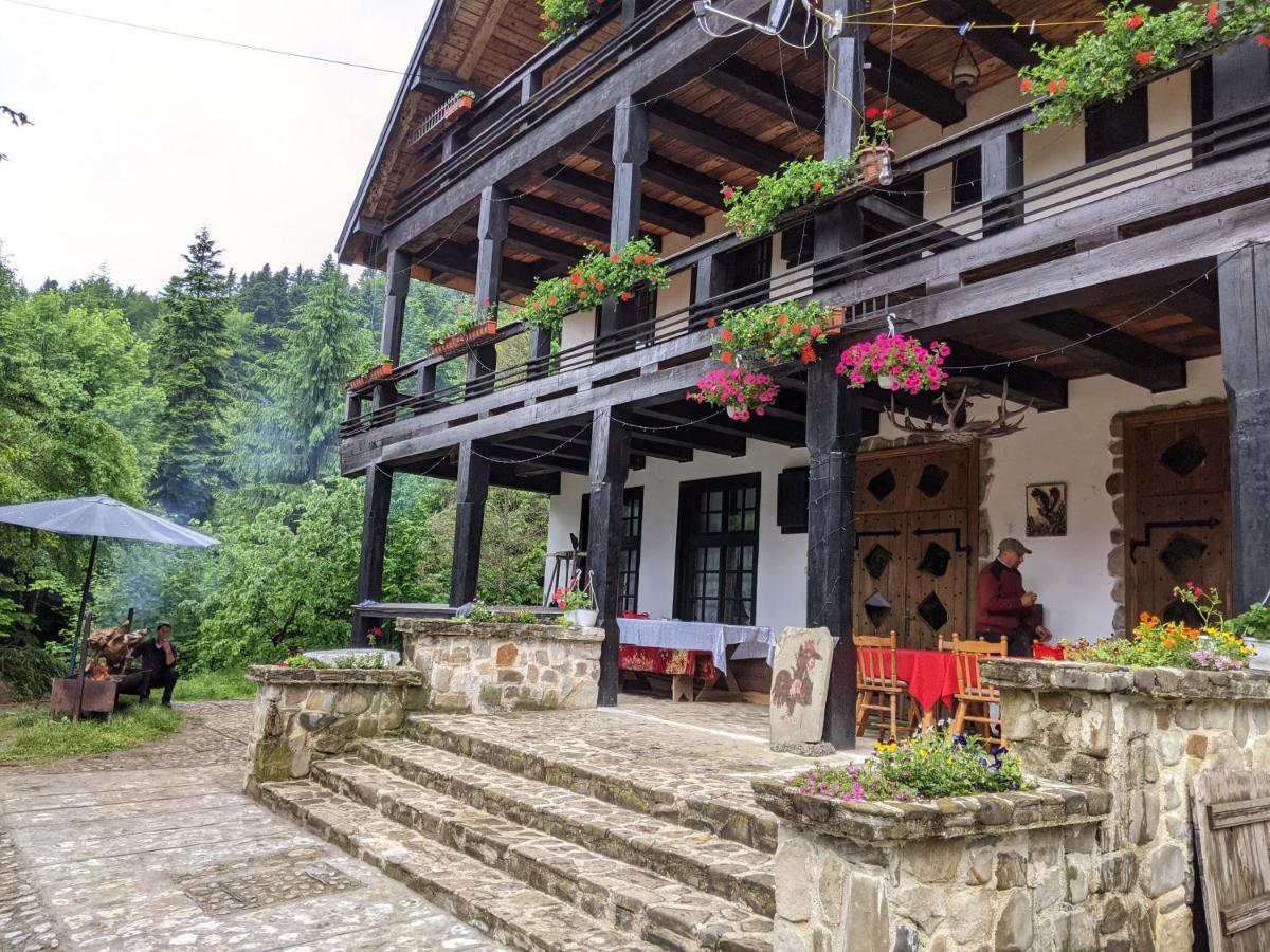 Cabana Serenade Sucevita Extérieur photo